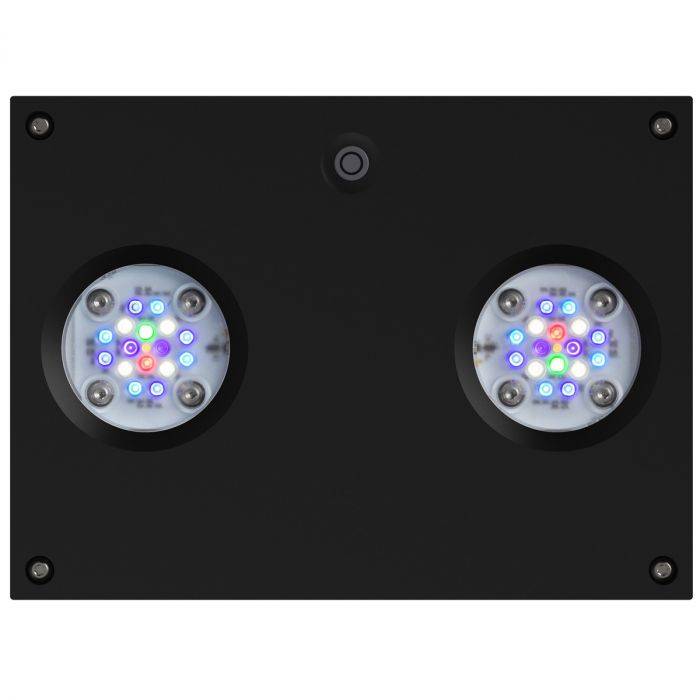Reef light sales